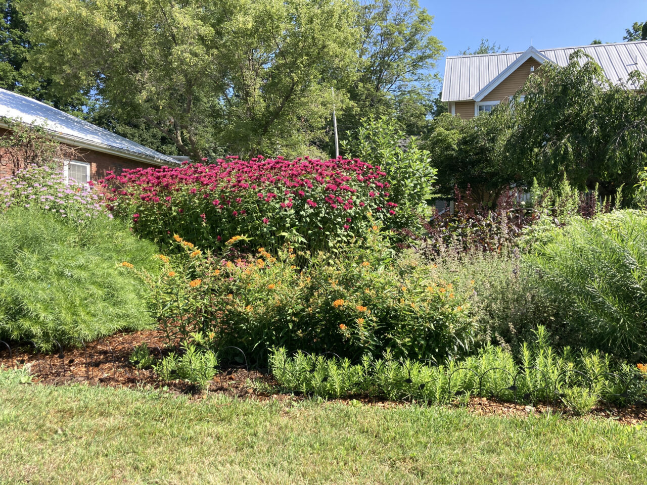 Pollinator Garden
